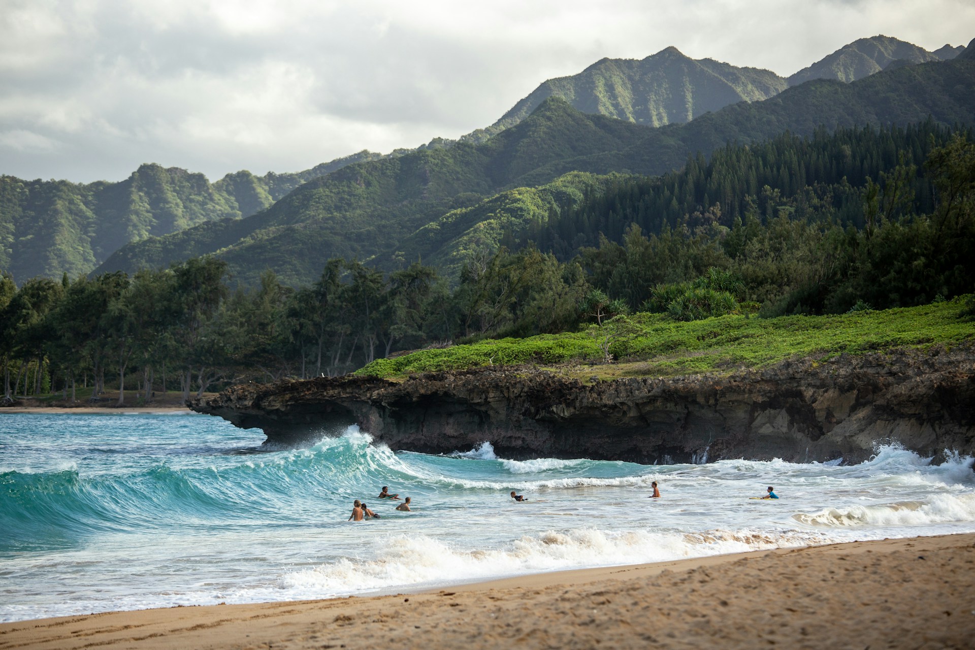 Palm-lined Hawaiian coastline